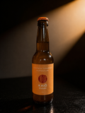 Kombucha Ginger Turmeric