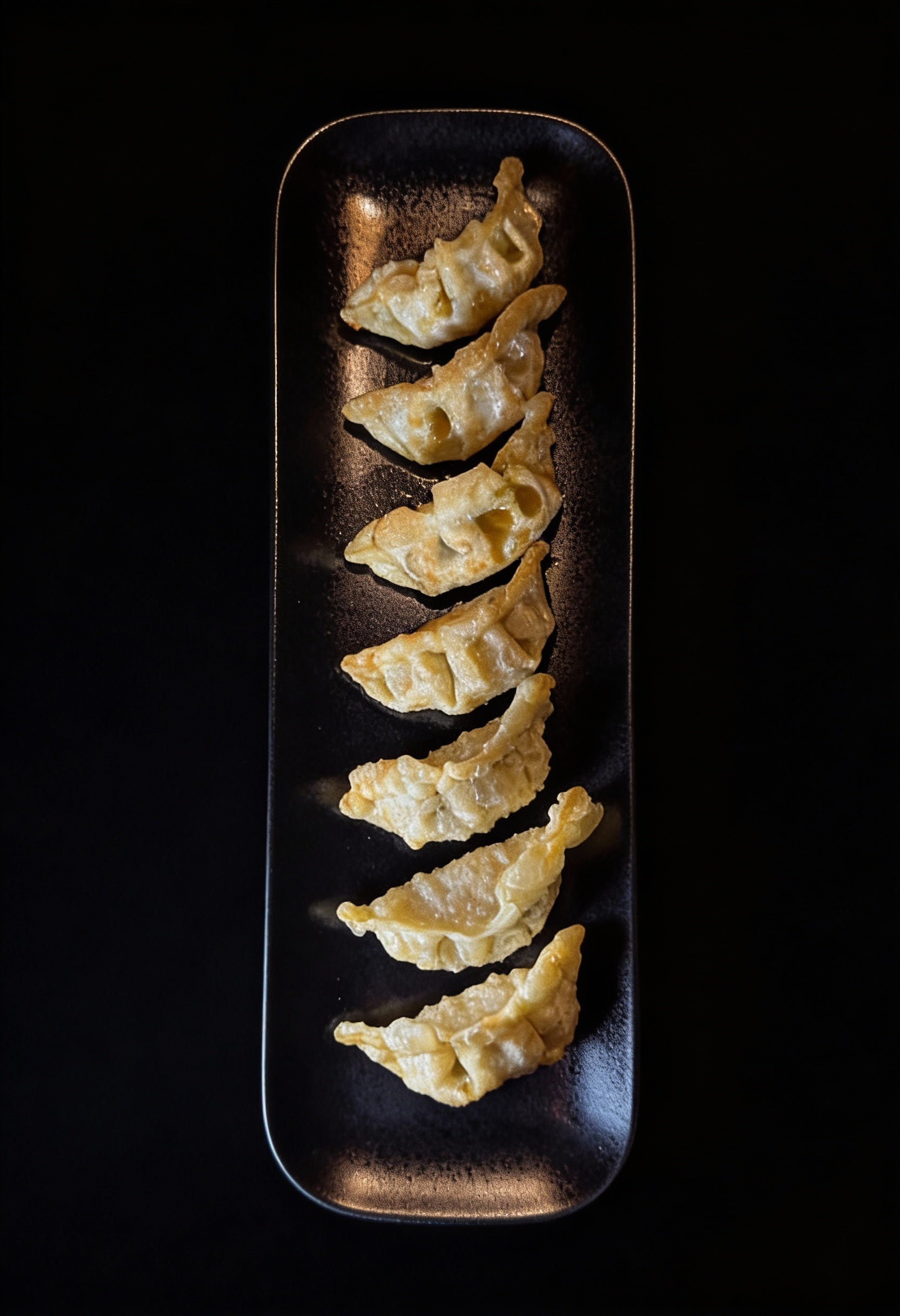 Vega Gyoza