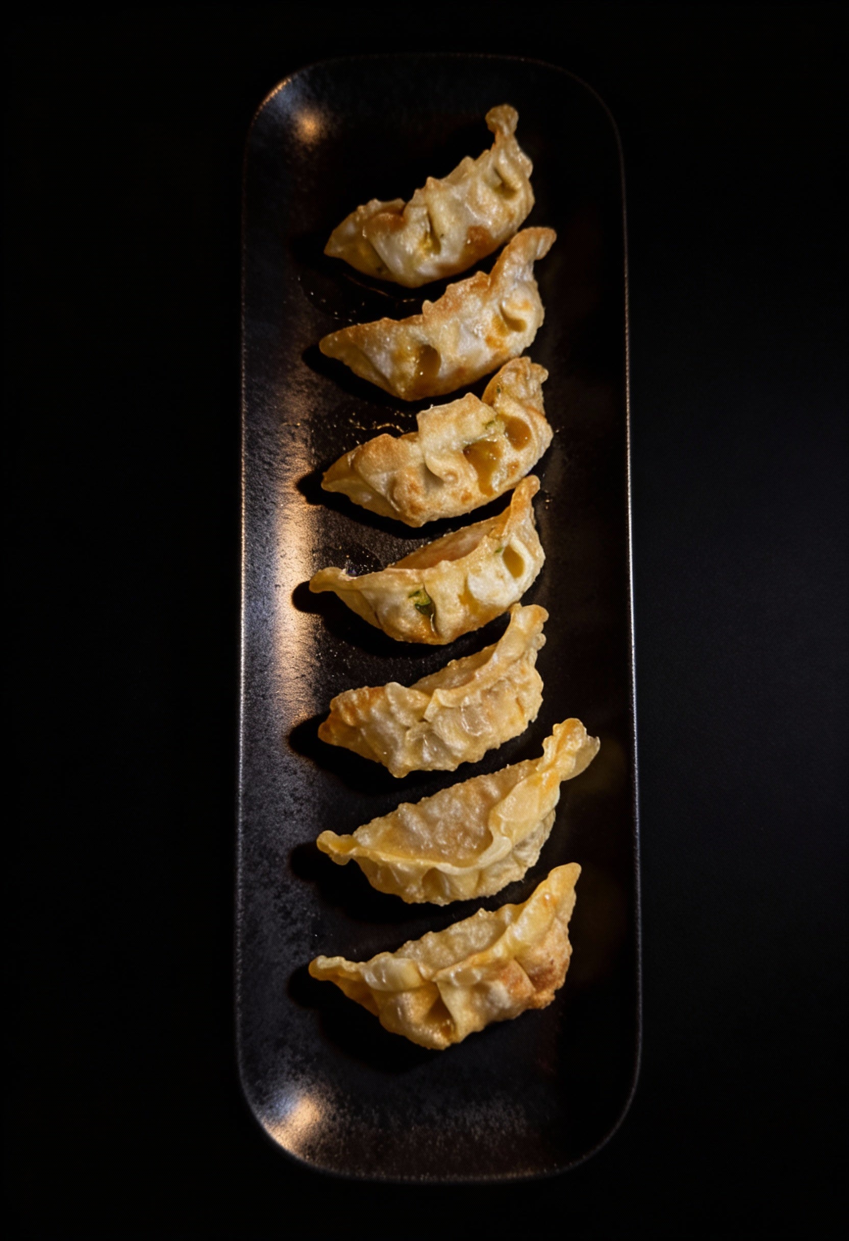 Vega Gyoza
